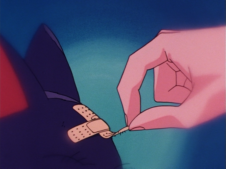 Sailor Moon (a&c world)